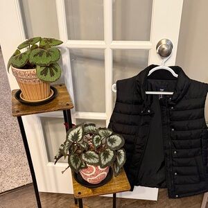 GAP Black Quilted puffer Vest